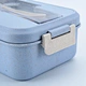 small lunch boxes for adults